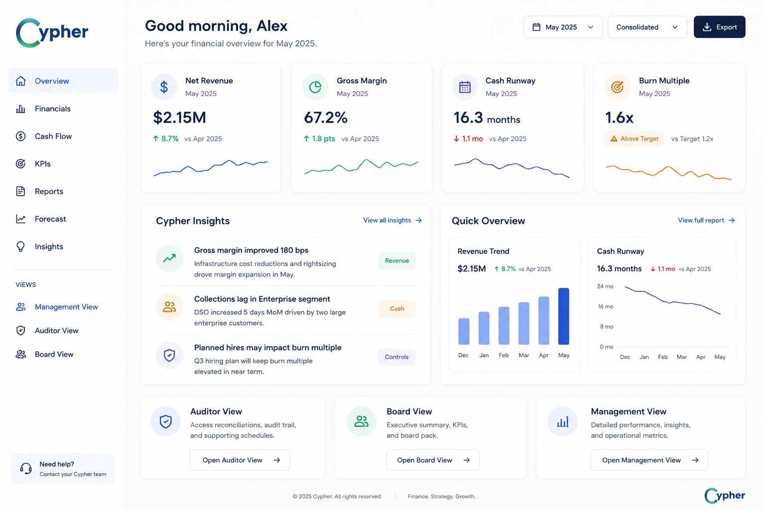 Cypher finance dashboard showing net revenue, gross margin, cash runway and burn multiple for a demo company